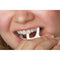 ORAL FUSION DENTAL FLOSS TOOTH CLEANING PICK MINT 150 EACH PACK SINGLE PACK - Brand New