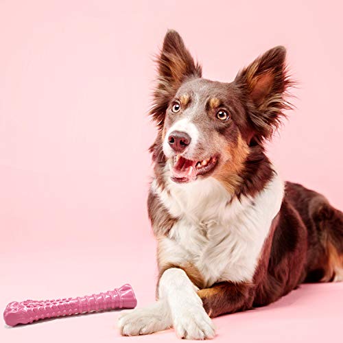 Nylabone PowerChew Breast Cancer Awareness Femur Bone Chew Toy X-Large - PINK - Brand New