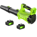 SUNCHERS ELECTRIC LEAF BLOWER CORDLESS 2 3.0AH BATTERY CHARGER RC3009 - GREEN - Like New