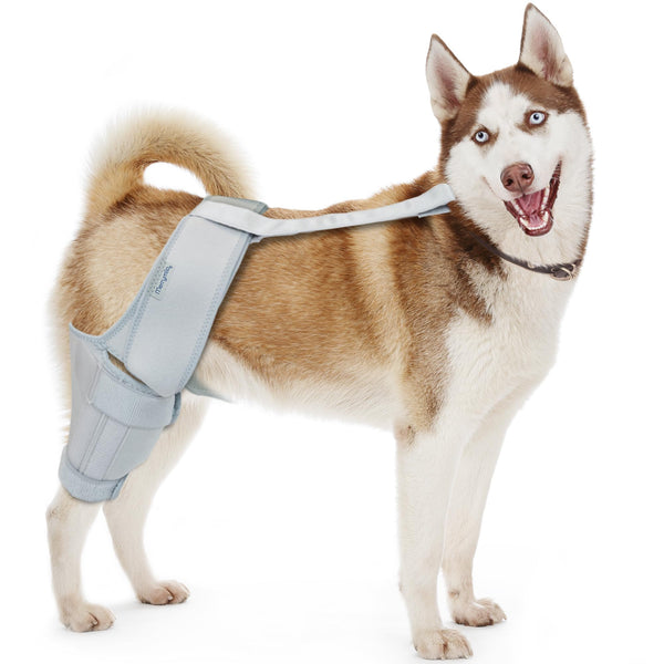 MERRYMILO DOG KNEE BRACE,ACL,CCL,CRUCIATE LIGAMENT, SIZE: S - SILVER - Like New