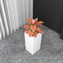 LEISUREMOD THICKET HEXAGON PLANTER FIBERSTONE +MGO CLAY 7–14″ - DOTTED WHITE - Like New