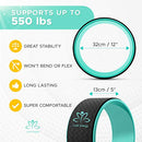 LIIVE ENERGY OGA WHEEL & STRAPS SET - STRONG PREMIUM PLEXUS WHEEL - Like New
