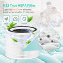 HILLCLEAN 2 PACK TRUE HEPA REPLACEMENT FILTER FOR PURO AIR 240 AIR PURIFIER - Like New
