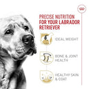 Royal Canin Labrador Retriever Adult Dry Dog Food 30lb Bag - NEW - Brand New