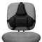 FELLOWES PROFESSIONAL SERIES BACK SUPPORT, BLACK (8037601) - BLACK - Like New
