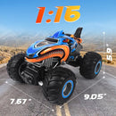 BESWIT MK724A 1:16 REMOTE CONTROL CAR or MONSTER TRUCK - - Scratch & Dent