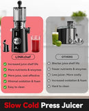 RUSH CLEAR SLOW MASTICATING JUICER MACHINES COLD PRESS - Scratch & Dent