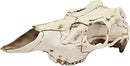 Mountain Mike’s White Skull Master Antler Mounting Kit - Medium - Like New