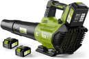 ACESKY LEAF BLOWER CORDLESS 580CFM/160MPH & 3 SPEED BATTERY/ CHARGER - GREEN - Like New