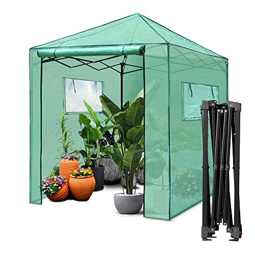 PEXFIX 6'X 5' PORTABLE WALK-IN GREENHOUSE EASY SETUP GARDEN GREEN HOUSES - GREEN - Like New