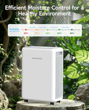 DRAVONIC 2000 SQ. FT DEHUMIDIFIER FOR BASEMENT, 30 PINT, 3 MODES, WHITE - Like New