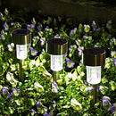 SOLPEX 12 Pack Solar Outdoor Lights Pathway, Stainless Steel - Scratch & Dent