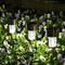 SOLPEX 12 Pack Solar Outdoor Lights Pathway, Stainless Steel - Scratch & Dent