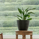 La Jolie Muse Outdoor Indoor Planters Flower Pots, 9.4 Inch, B089D4GN92 - Black - Brand New