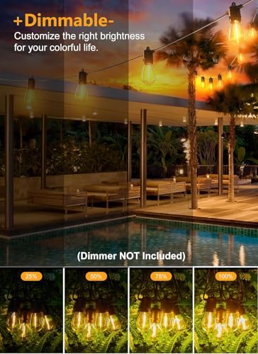 Brightown Outdoor String Lights 35FT with 10 Edison Bulbs - Black - Like New