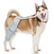 MERRYMILO DOG KNEE BRACE,ACL,CCL,CRUCIATE LIGAMENT, SIZE: S - SILVER - Like New