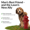 Sunnydaze Fire Hydrant for Dogs to Pee On - Dog Fire Hydrant Pee Post, Red - Like New