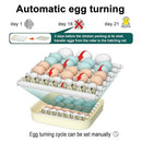 COINCEPTUS 35 EGG INCUBATOR WITH AUTOMATIC EGG TURNING AND HUMIDITY CONTROL - Like New