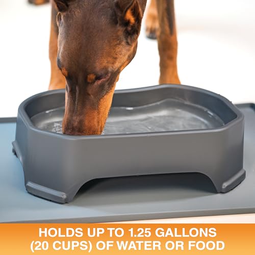 Neater Pet Brands Large Water Bowl (1.25 Gallon), WHJJK - Gunmetal Grey - Brand New