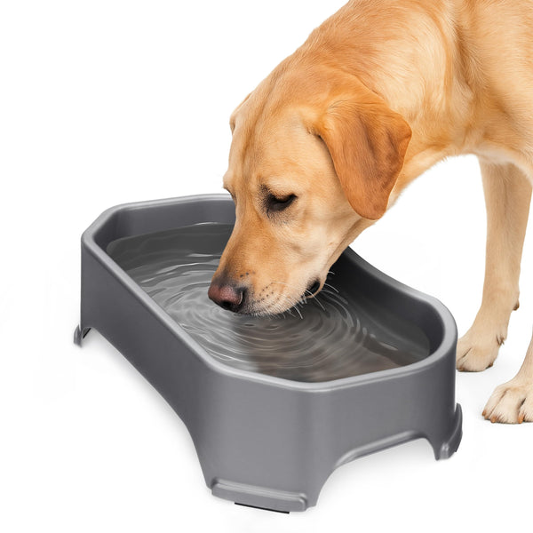 Neater Pet Brands Large Water Bowl (1.25 Gallon), WHJJK - Gunmetal Grey - Brand New