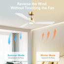 DAMINY NATURAL SOLID WOOD WHITE AND GOLD 52 INCH CEILING FAN - WHITE/GOLD - Like New