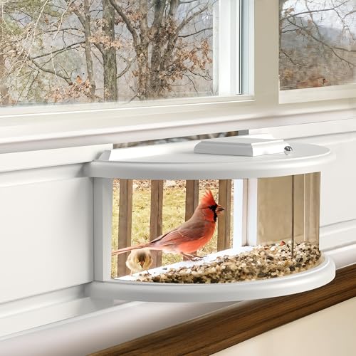 Simple Deluxe Upgraded 180° Clear View Wooden Window Bird Feeder Inside House - Like New