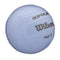 WILSON 2025 AVP SOFT PLAY VOLLEYBALLS - OFFICIAL SIZE - PURPLE - Like New