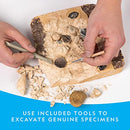 NATIONAL GEOGRAPHIC SUPER FOSSIL DIG KIT - MULTI - Brand New