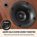 Saiyin Bluetooth Bookshelf Speakers Record Player Standard Speaker Out - BROWN - Like New