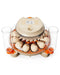 Innsky 12 Egg Incubator, Automatic Egg Turning and IS-EI001, White/Orange - Like New