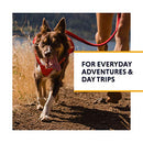 Ruffwear Switchbak Dog Body Harness Red Sumac M - Brand New