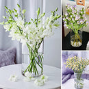 Homerove Glass Flower Vase, Set of 12 Clear Glass Cylinder Vase (6" Tall) - Brand New