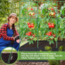 POILKMNI TOMATO CAGE 51×17×49 INCH WITH 46 GALLON GROW BAG - BLACK/GREEN - Brand New