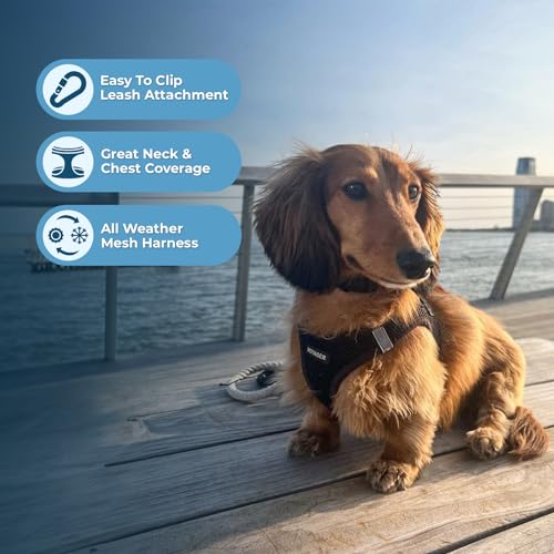 VOYAGER BEST PET SUPPLIES STEP-IN AIR HARNESS ALL WEATHER MESH REFLECTIVE XL - Brand New