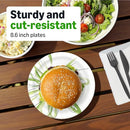 Amazon Basics Everyday Paper Plates 8.62" Disposable 300 Count Packaging Vary - Brand New