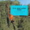 BLACK+DECKER 20V POWERCONNECT 18" Pole Hedge Trimmer Tool Only LPHT120B - ORANGE - Like New