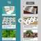 BAMTIME TOILET PAPER 100% 3PLY BAMBOO 24 ROLLS TREE FREE BIODEGRADABLE WHITE - Brand New