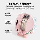 VETRESKA Pet Carrier with 1 Stickers and 2 Mats, Pink Pet - Like New