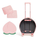 VETRESKA Pet Carrier with 1 Stickers and 2 Mats, Pink Pet - Like New