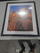 GENERIC PICTURE FRAME, FITS PICTURES UP TO 19X23 (21X25) - BLACK - Like New