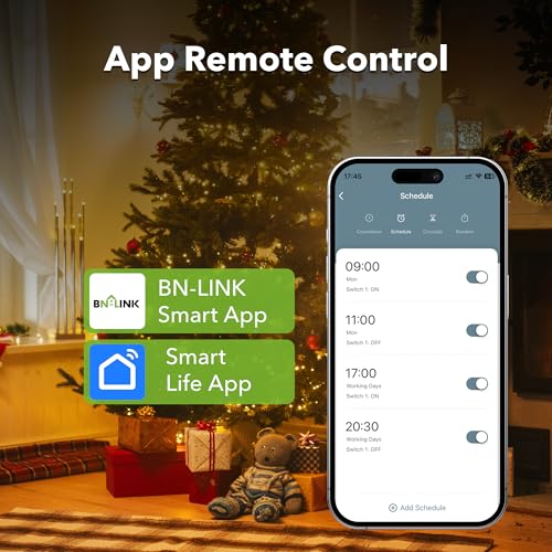BN-LINK WIFI SMART PLUG OUTLET NO HUB REQUIRED TIMER FUNCTION 2.4 GHZ (2 PACK) - Like New
