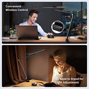 KARY REMOTE CONTROL CLAMP LAMP - SILVER - Like New