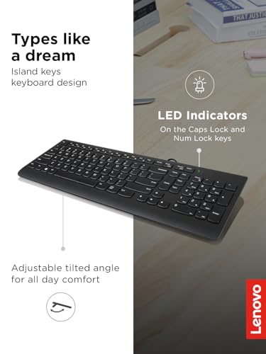 LENOVO 300 USB KEYBOARD WIRED ADJUSTABLE TILT ERGONOMIC WINDOWS 7/8/10 BLACK - Like New