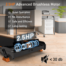 LICHICO WALKING PAD 2 IN 1 UNDER DESK TREADMILL 0-9% INCLINE W/REMOTE - BLACK - Like New