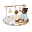 INGENUITY WONDERS INGENUITY WONDER & WOOD TOY ARCH & MAT - MULTI COLOR/BEIGE - Like New