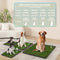 HQ4us Dog Grass Pad with Tray Large 34”×23” Dog Litter Box, 2×Artificial Grass - Like New