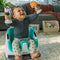 Baby Einstein DINE & DISCOVER MULTI-USE BOOSTER SEAT - White/Turquoise - Like New