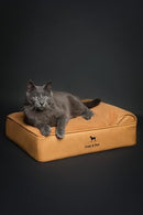 NOAH & PAW Small Dog Bed, Orthopedic Eggshell Memory Foam, 20x15x6.5 Inch - Tan - Like New