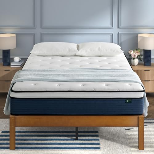 ZINUS 10 Inch Comfort Support Hybrid Mattress, Queen ZU-MSHO1SZI-10Q - White - Like New
