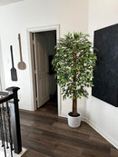 Aveyas 6ft Artificial Ficus Tree Home Decor Faux Plant Fake Silk Trees Pot - Brand New